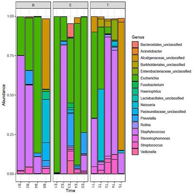 Longitudinal Associations of the Cystic Fibrosis Airway Microbiome and Volatile Metabolites: A Case Study